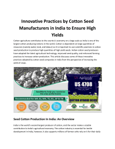 Innovative Practices by Cotton Seed Manufacturers in India to Ensure High Yields