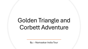 Golden Triangle and Corbett Adventure 