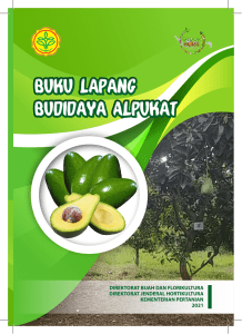 Buku Lapang Budidaya Alpukat