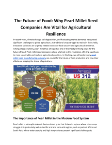 Pearl Millet: Seed Companies & Agricultural Resilience