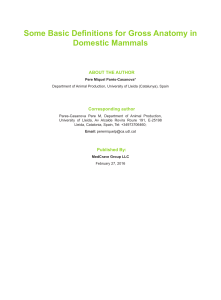 Basic Definitions for Gross Anatomy in Domestic Mammals