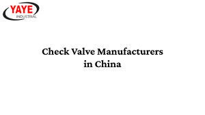 Check Valve Manufacturers in China (1)