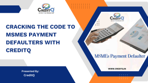 Cracking the Code to MSMES Payment Defaulters with CreditQ