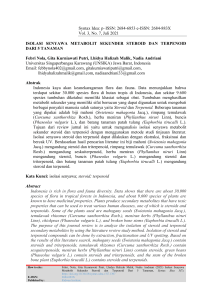 Isolasi Steroid & Terpenoid dari Tanaman: Analisis Metabolit Sekunder
