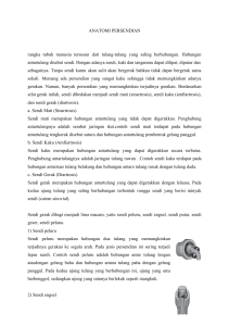 Anatomi Persendian: Jenis, Gerakan, Cedera, dan Pencegahan