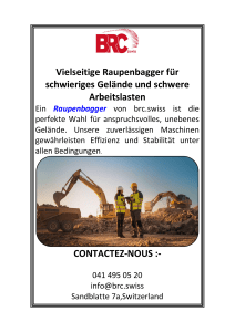 Vielseitige Raupenbagger f&uuml;r schwieriges Gel&auml;nde und schwere Arbeitslasten