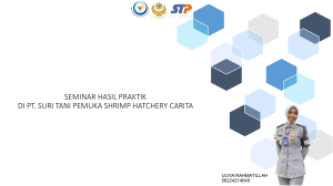 Seminar Praktik Pembenihan Udang Vaname di PT. Suri Tani Pemuka